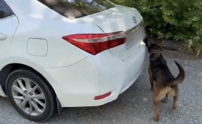 Muğla’da otomobilde 5 kilo 670 gram skunk ele geçirildi: 1 tutuklama
