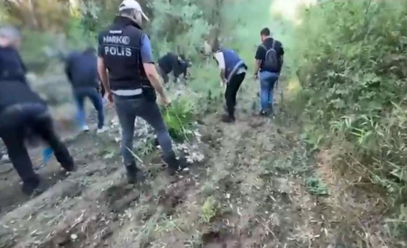 UNESCO dünya mirası listesinde 12 bin kök zehir şoku!
