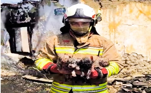 Yangında mahsur kalan köpek ve 4 yavrusu tedaviye alındı