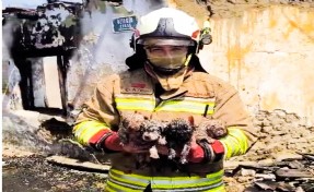 Yangında mahsur kalan köpek ve 4 yavrusu tedaviye alındı