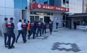 16 ilde 22 ayrı organize suç örgütüne operasyon: 228 gözaltı