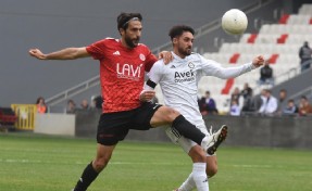 Altay'da yaprak dökümü sürüyor