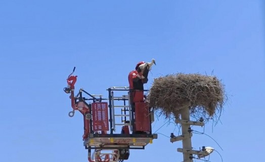 Ayağına poşet dolanan leylek kurtarıldı