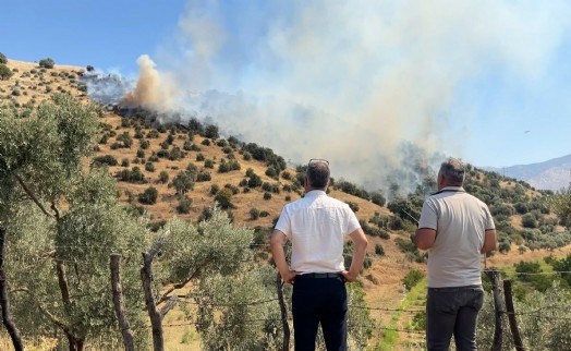 Aydın'da kokutan maki yangını