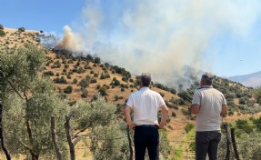 Aydın'da kokutan maki yangını