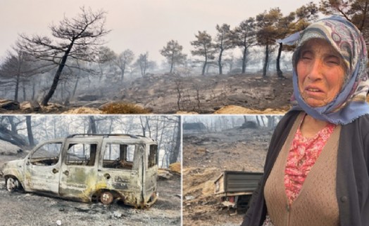 Aydın'daki yangın Madran Yaylası’nı küle çevirdi: 'Katliam gibiydi'