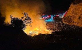 Aydın’da 3 günde 176 yangına müdahale edildi