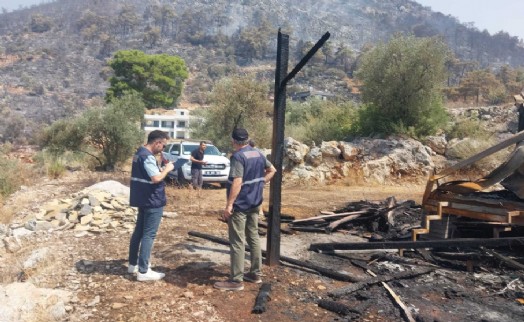Bakan Kurum'dan orman yangınlarına ilişkin açıklama