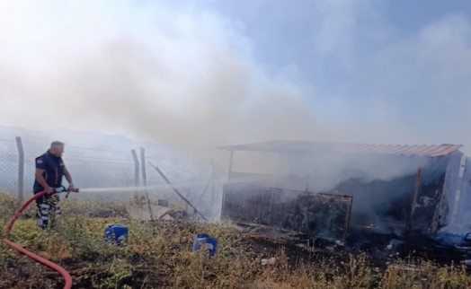 Barınak yangında kullanılamaz hale geldi