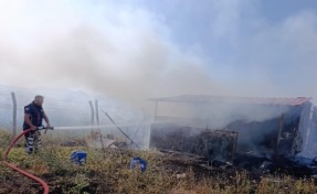 Barınak yangında kullanılamaz hale geldi