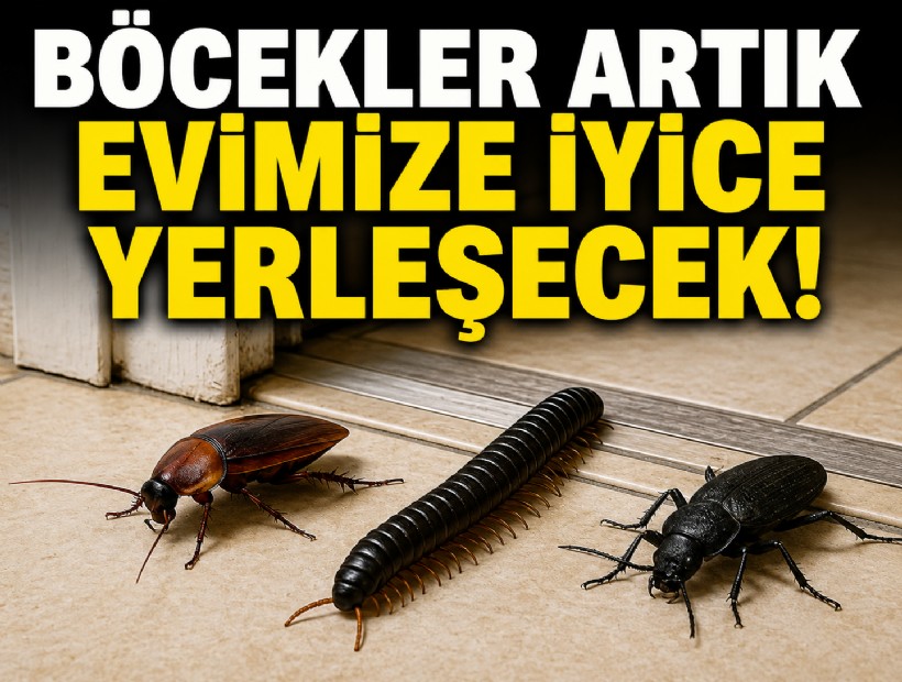 Böcekler artık evimize iyice yerleşecek!