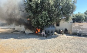 Bodrum'da korkutan alevler!