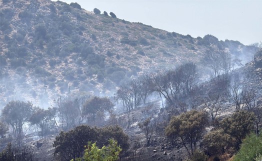 Bodrum'da makilik alanda çıkan yangın kontrol altında