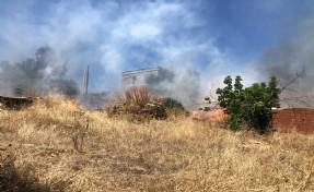 Bodrum'da otluk alanda çıkan yangın, ormana sıçradı