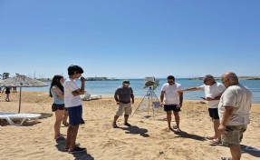 Didim Parlamenterler Sitesi kumsalında ikinci caretta caretta yuvası bulundu