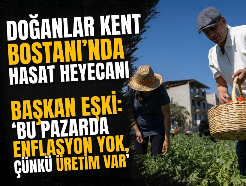 Doğanlar Kent Bostanı’nda hasat heyecanı... Başkan Eşki: 'Bu pazarda enflasyon yok, çünkü üretim var'