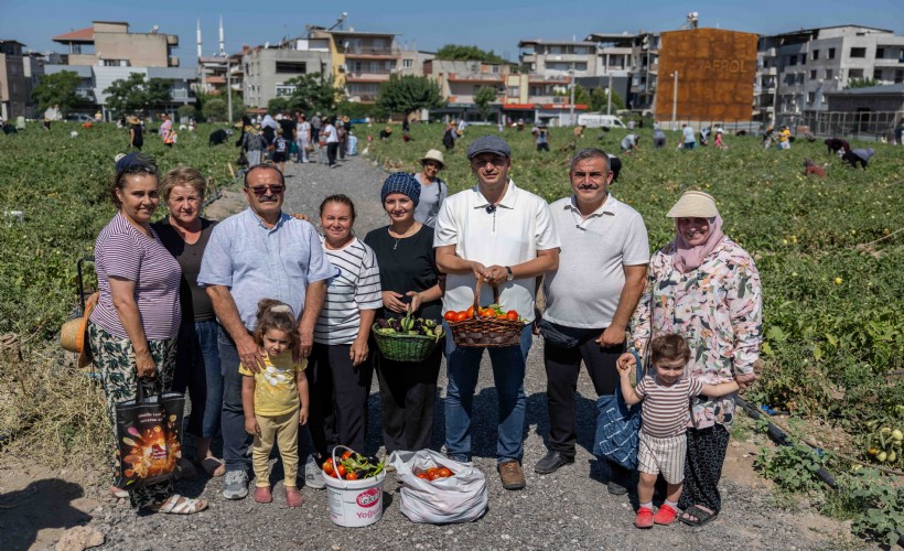 Doğanlar Kent Bostanı’nda hasat heyecanı... Başkan Eşki: 'Bu pazarda enflasyon yok, çünkü üretim var'