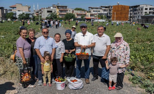 Doğanlar Kent Bostanı’nda hasat heyecanı... Başkan Eşki: 'Bu pazarda enflasyon yok, çünkü üretim var'