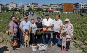 Doğanlar Kent Bostanı’nda hasat heyecanı... Başkan Eşki: 'Bu pazarda enflasyon yok, çünkü üretim var'
