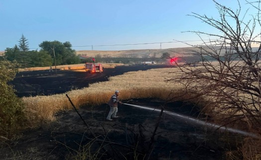 37 dekar ekin tarlası küle döndü: Başkan Kara’dan izmarit uyarısı