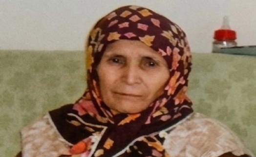 Elif Nine'nin organları ile 3 hastaya umut oldu