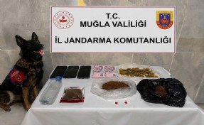 Evinde 188 gram bonzai ile yakalanınca tutuklandı