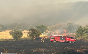 Foça'daki orman yangını için ekipler seferber oldu