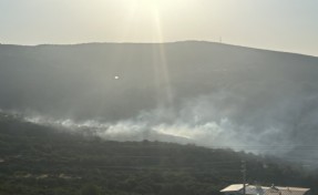 Homeros Vadisi’nde yangın paniği!