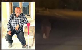 İzmir'de akılalmaz dehşet! Balkonda uyurken ayının saldırdığı yaşlı adam kurtarılamadı