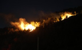 İzmir'de orman yangını