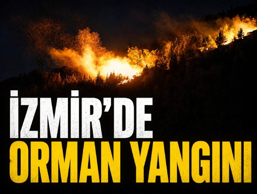 İzmir'de orman yangını