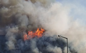 İzmir’de orman yangını