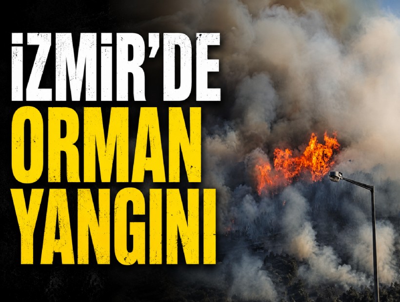İzmir’de orman yangını
