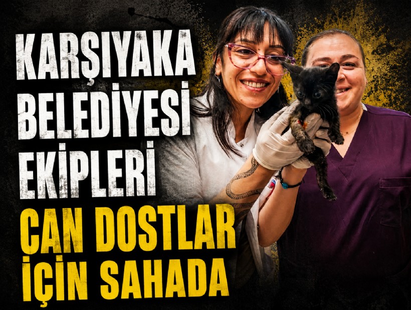Karşıyaka Belediyesi ekipleri can dostlar için sahada
