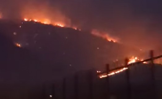 İzmir'de korkutan orman yangın kontrol altına alındı