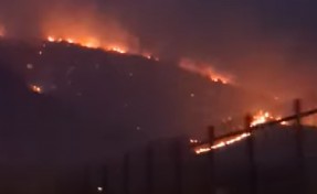 İzmir'de korkutan orman yangın kontrol altına alındı
