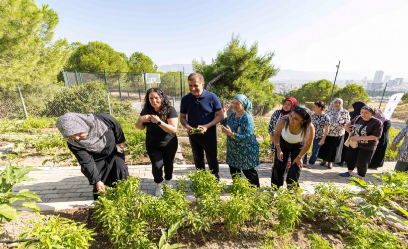 Mahalle bostanlarında üretim ve dayanışma büyüyor