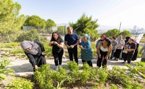 Mahalle bostanlarında üretim ve dayanışma büyüyor