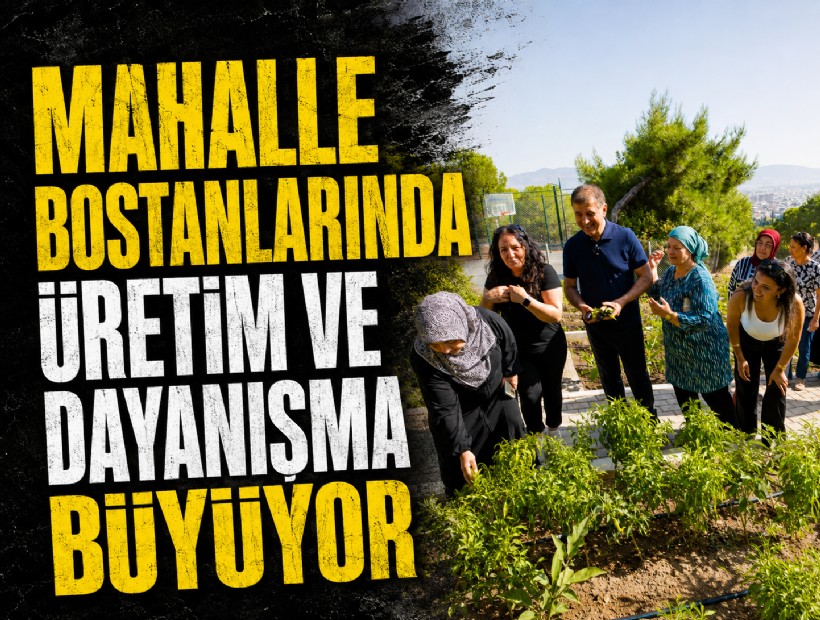 Mahalle bostanlarında üretim ve dayanışma büyüyor