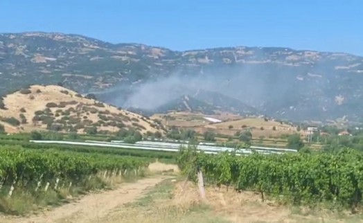Manisa'da orman sıçrayan yangın kontrol altına alındı