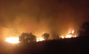 Manisa’da makilik alandaki yangın ormana sıçramadan kontrol altına alındı