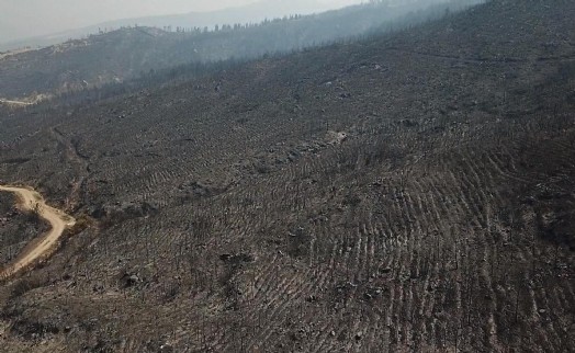 Muğla Seydikemer’deki orman yangınının izleri dronla görüntülendi