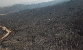 Muğla Seydikemer’deki orman yangınının izleri dronla görüntülendi