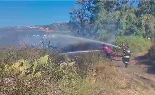 Muğla'da maki yangını