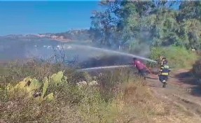Muğla'da maki yangını