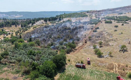 Muğla'da maki yangını; alevlerden kaçan kaplumbağa taşların arasına sığındı
