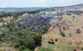 Muğla'da maki yangını; alevlerden kaçan kaplumbağa taşların arasına sığındı