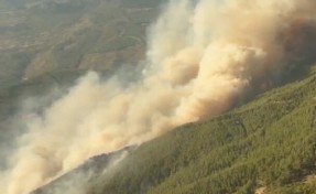 Muğla'da orman yangını; Havadan ve karadan müdahale ediliyor