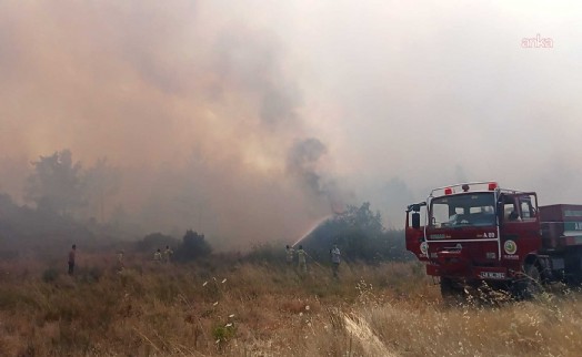 Muğla'da ormana sıçrayan yangın kontrol altına alındı