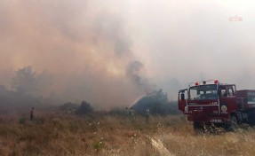 Muğla'da ormana sıçrayan yangın kontrol altına alındı